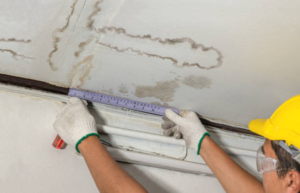 Reliable Flood Cleanup contractor in Lind, WA by Water Damage Irwin